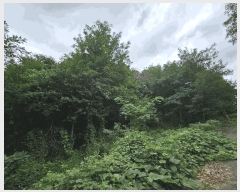  2025Ÿ��10650 ��� ���ֽ� �ܵ��� ���踮 950-1      ����(�Ӿ�)���