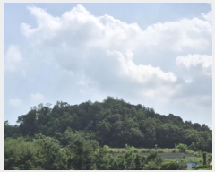  2025Ÿ��10650 ��� ���ֽ� �ܵ��� ���踮 950-1      ����(�Ӿ�)���