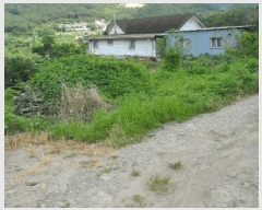  2025Ÿ��10658 ��� ���ֽ� �곻�� ������ 2786      ����(��)���