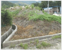  2025Ÿ��10658 ��� ���ֽ� �곻�� ������ 2786      ����(��)���