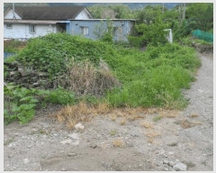  2025Ÿ��10658 ��� ���ֽ� �곻�� ������ 2786      ����(��)���