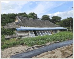  2025Ÿ��10662 ��� ���ֽ� ���� 952-11       ���ð��