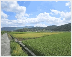  2025Ÿ��10666 ��� ���ֽ� �곻�� ��ĥ�� 1009      ����(��)���