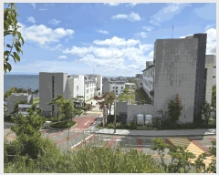  2025Ÿ��10684  �ܵ�(ȣ��)���