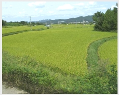  2025Ÿ��10688  ����