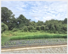  2025Ÿ��10692  �����