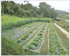  2025Ÿ��10692  �����