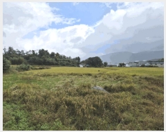  2025Ÿ��10719  ������