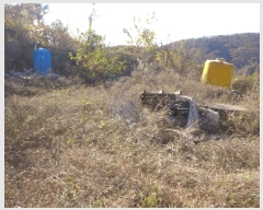  2025Ÿ��10740  �����