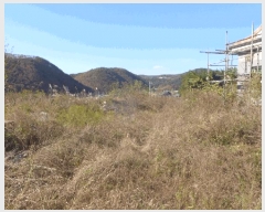  2025Ÿ��10740  �����