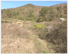  2025Ÿ��10740  �����