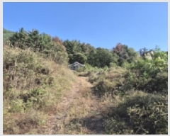  2025Ÿ��10740  �����