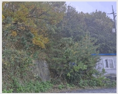  2025Ÿ��10748 ��� ���ֽ� ���嵿 769-21       ����(�Ӿ�)���