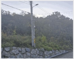  2025Ÿ��10748 ��� ���ֽ� ���嵿 769-21       ����(�Ӿ�)���