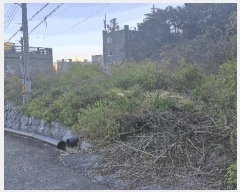  2025Ÿ��10748 ��� ���ֽ� ���嵿 769-21       ����(�Ӿ�)���