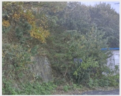  2025Ÿ��10748 ��� ���ֽ� ���嵿 769-21       ����(�Ӿ�)���