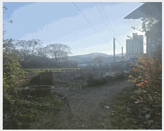  2025Ÿ��10788  �����