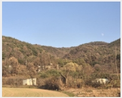  2025Ÿ��10820 ��� ���ֽ� õ�ϸ� ȭ�긮 ��58      ����(�Ӿ�)���