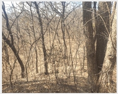  2025Ÿ271  õ  õ 47-14      (Ӿ)