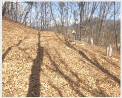  2025Ÿ271  õ  õ 47-14      (Ӿ)