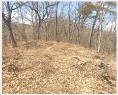  2025Ÿ271  õ  õ 47-14      (Ӿ)