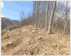  2025Ÿ271  õ  õ 47-14      (Ӿ)