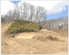  2025Ÿ271  õ  õ 47-14      (Ӿ)