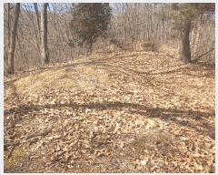  2025Ÿ271  õ  õ 47-14      (Ӿ)