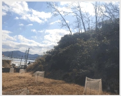  2025Ÿ271  õ  õ 47-14      (Ӿ)