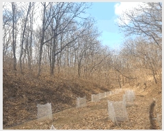  2025Ÿ271  õ  õ 47-14      (Ӿ)