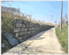  2025Ÿ��286 ��� ��õ�� ��Ҹ� ��� 1133      ����(��1)���