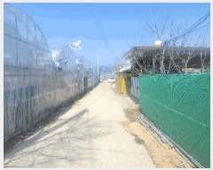  2025Ÿ��296 ��� ��õ�� ���׸� ��渮 441      ����(��)���