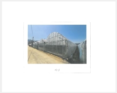  2025Ÿ��296 ��� ��õ�� ���׸� ��渮 441      ����(��)���