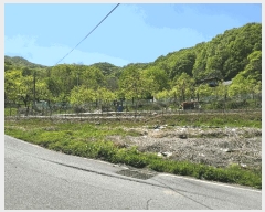  2025Ÿ��315  ���ð��