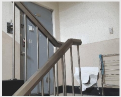  2025Ÿ��341  ����Ʈ���