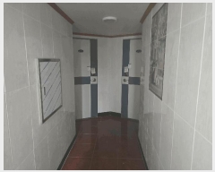  2025Ÿ��356 ��� ���̽� ���ǵ� 389-9       �ٰ������ð��