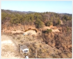  2025Ÿ10200  õ Ҹ ϸ 354-1      (1)