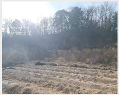  2025Ÿ10255  õ Ҹ  29      (Ӿ)