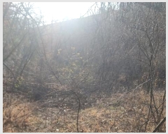  2025Ÿ10255  õ Ҹ  29      (Ӿ)