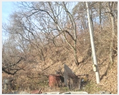  2025Ÿ10255  õ Ҹ  29      (Ӿ)