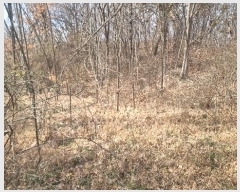  2025Ÿ10255  õ Ҹ  29      (Ӿ)