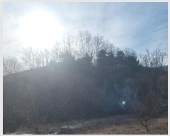  2025Ÿ10255  õ Ҹ  29      (Ӿ)