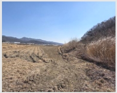  2025Ÿ10804  ̽  ۸ 291-1      ()