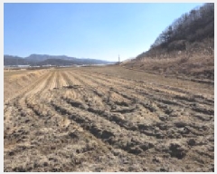  2025Ÿ10804  ̽  ۸ 291-1      ()