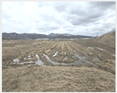  2025Ÿ10804  ̽  ۸ 706-1      ð