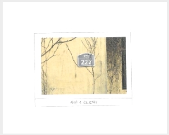  2025Ÿ10840  õ  333-1       ()