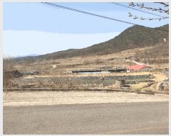  2025Ÿ10885  ̽   65-4      (Ӿ)