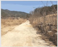  2025Ÿ10885  ̽   65-4      (Ӿ)