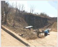  2025Ÿ10885  ̽   65-4      (Ӿ)