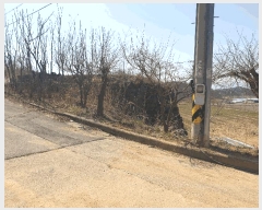  2025Ÿ10885  ̽   65-4      (Ӿ)